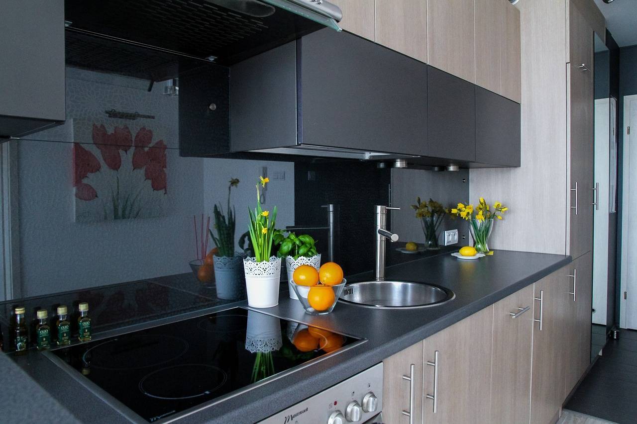 assurance appartement meublée